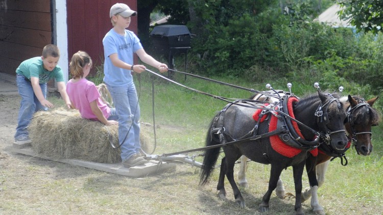 Logan Robinson, 10, drives his team of miniature horses Sunday with his twin sister, Lauren, and their buddy, Carter Currier, 10, of Oxford. The Robinsons, of Litchfield, competed with the team during the farmer’s scoot on the last day of Monmouth Fair. Staff photo by Andy Molloy