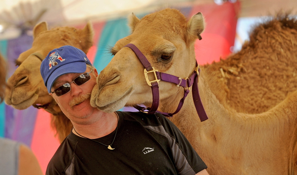 A camel nuzzles Jeffrey Bragg of Sabattus on Saturday at the Staples Safari Zoo at the Skowhegan fair.