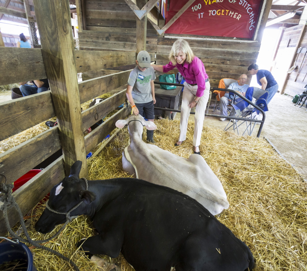 Wisconsin democratic gubernatorial candidate Mary Burke talks with Tyler Gilbertson, 11, about his cow, Emma.