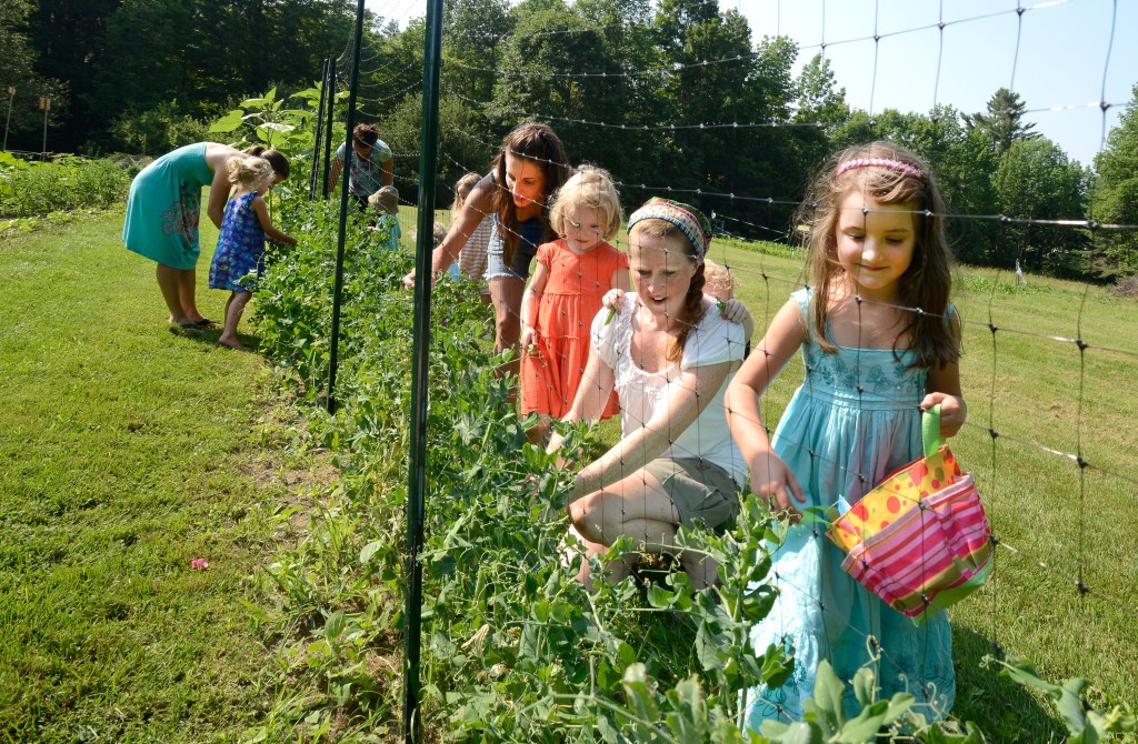 Stephanie O’Neil (second from right) picks peas with students in a gardening class for moms and their children.
John Patriquin/Staff Photographer