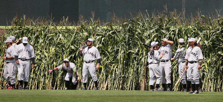 Portland Sea Dogs players take the field through a stand of corn before a game against Harrisburg. Derek Davis/Staff Photographer