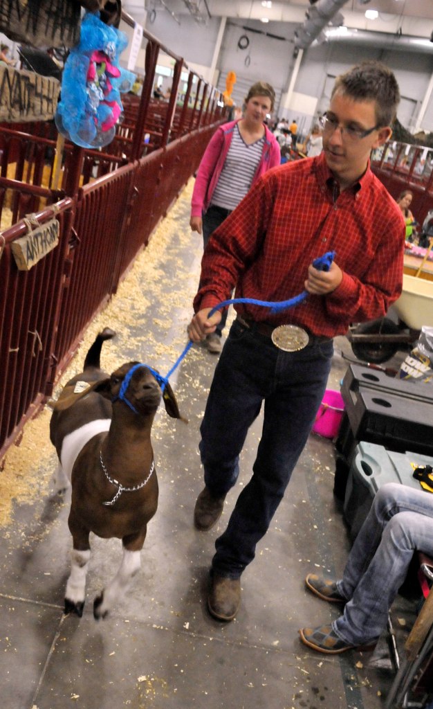 David Smith, from Niwot, Colorado, walks his goat back to the pen after claiming the grand champion title at the Weld County Fair on July 23, 2014, in Greeley, Colo. The Associated Press