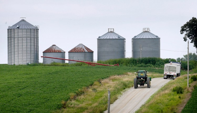 A farmer drives his tractor past a soybean field toward grain storage bins near Ladora, Iowa, in this Aug. 5, 2014, photo. The nation's corn and soybean farmers are on track to produce record crops this year as a mild summer has provided optimum growing conditions. The Associated Press