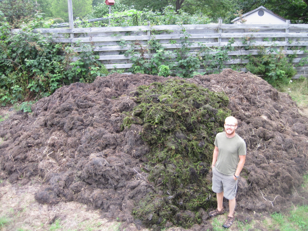 A compost pile of milfoil is seen in Belgrade. The Belgrade Regional Conservation Alliance has been composting thousands of gallons of milfoil for two years in an effort to dispose of the plants in a controlled environment. The Department of Environmental Protection seeks to discover if this disposal method breaks the weed down adequately to make it inviable.