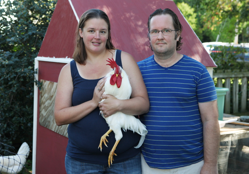 Crystal and Pat Kennedy of Cape Elizabeth have received complaints about their rooster Elvis.  Joel Page/Staff Photographer