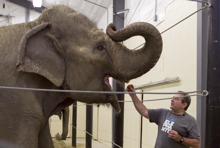 James Laurita feeds a carrot to one of the two retired circus elephants at his nonprofit rehabilitation and educational facility in the Knox County town of Hope in 2012. His death Tuesday from asphyxiation and multiple fractures was ruled an accident.