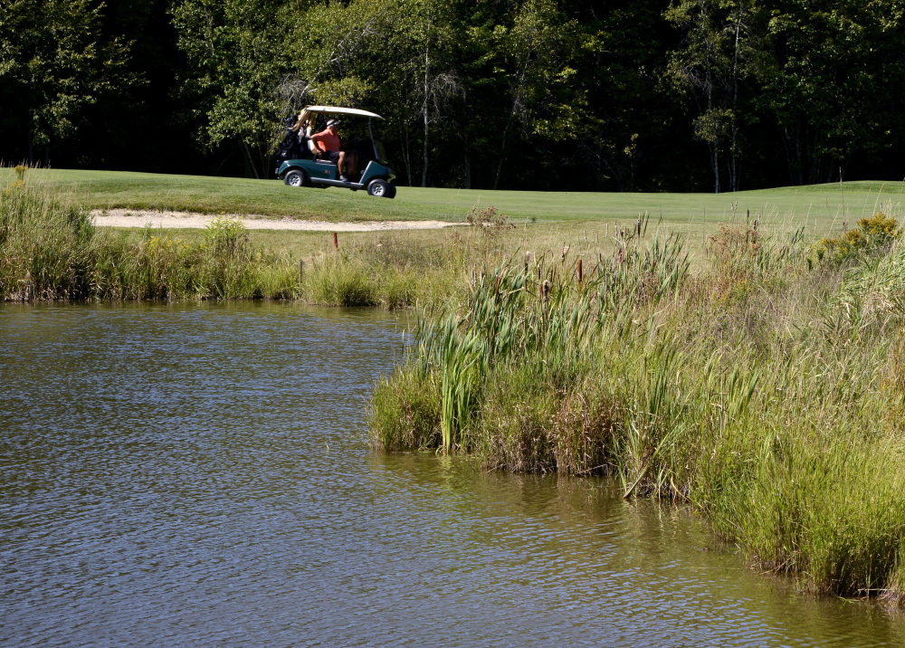 Fox Ridge Golf Club in Auburn stocks ponds with trout and allows native plants to grow along brooks, ponds and fairways.