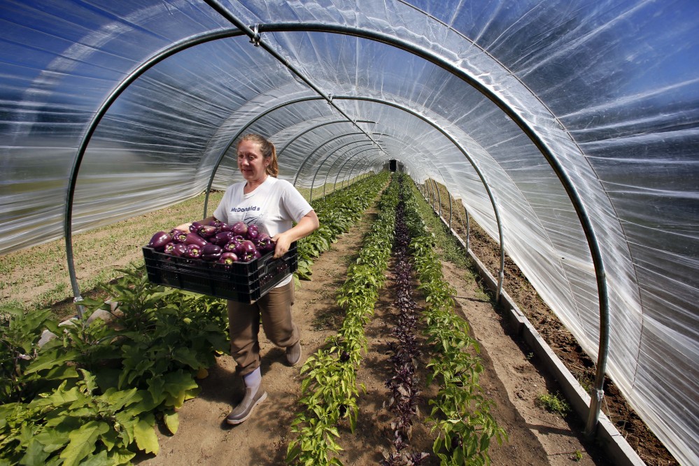 Angie Trombley carries a crate of purple heirloom peppers grown in a caterpillar-style greenhouse at the Squire Tarbox Farm on Westport Island in Maine. The farm received a loan for the greenhouse through a national movement called Slow Money, which links investors with farmers and small food producers. It’s not a way to get rich quick, however. The Associated Press