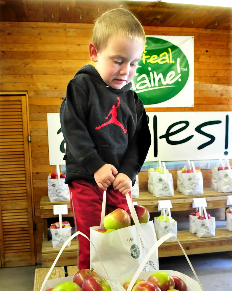 Landon Orff, 3, of Fairfield, struggles to lift a bag of apples he selected during the statewide Maine Apple Sunday held at North Star Orchards in Madison.
