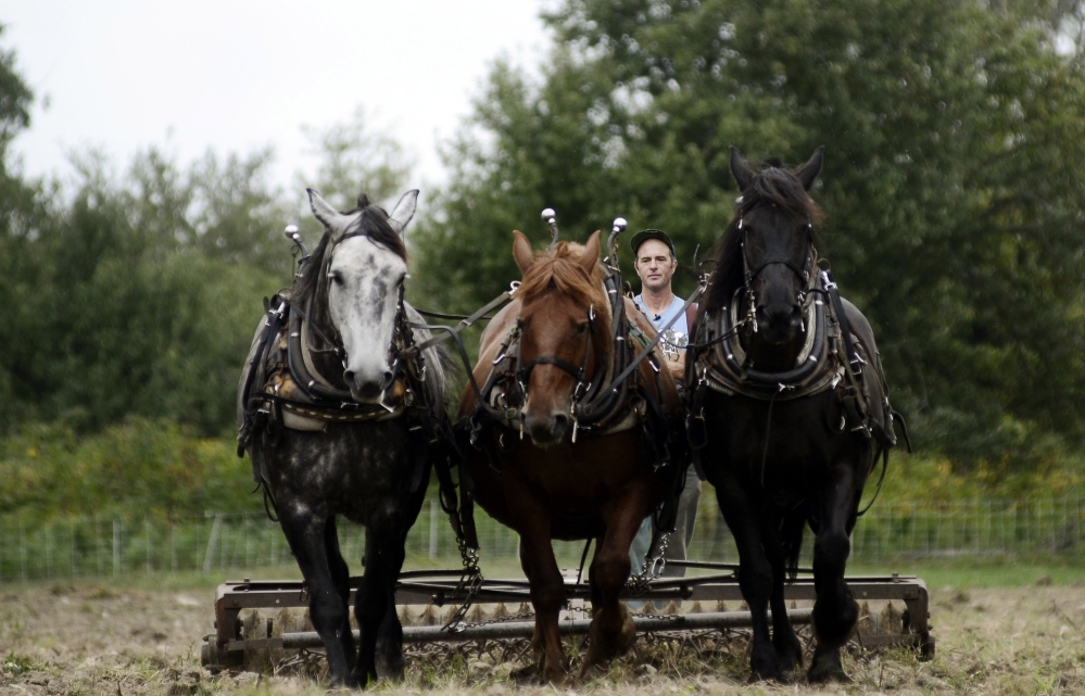Donn Hewes commands his team of horses while harrowing a field at the Northland Sheep Dairy Farm in Marathon, N.Y. Hewes, who has a night job as a firefighter, works about 100 acres with Percheron and Suffolk draft horses.