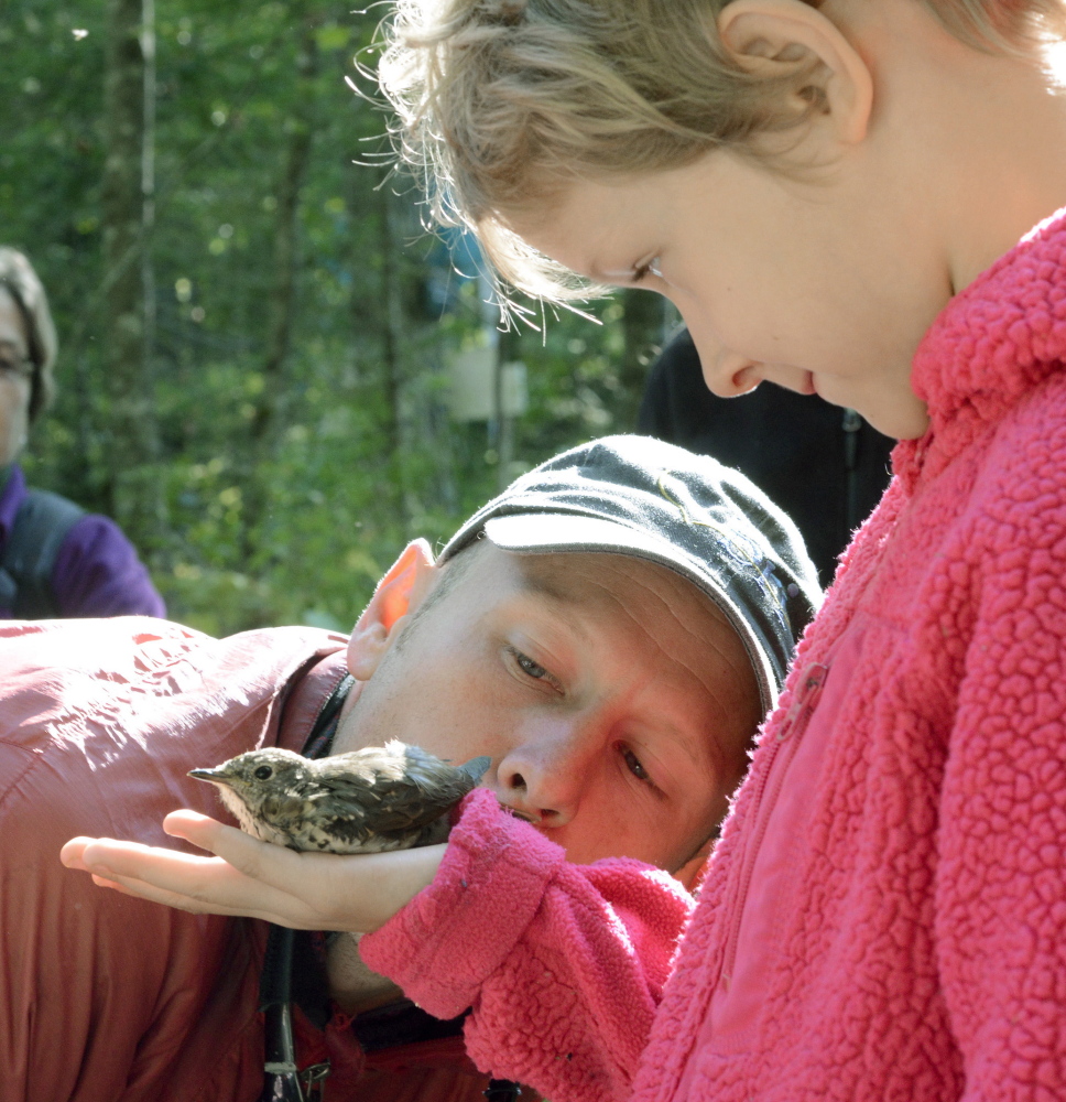  Seven-year-old Freya Drum of Damariscotta watches as wildlife biologist Patrick Keenan gently blows and urges a hermit thrush to go airborne from her hand during a banding session last week at Hidden Valley Nature Center in Jefferson. And the joy in that smile shows this will be a day to be remembered for years to come for Drum. 
