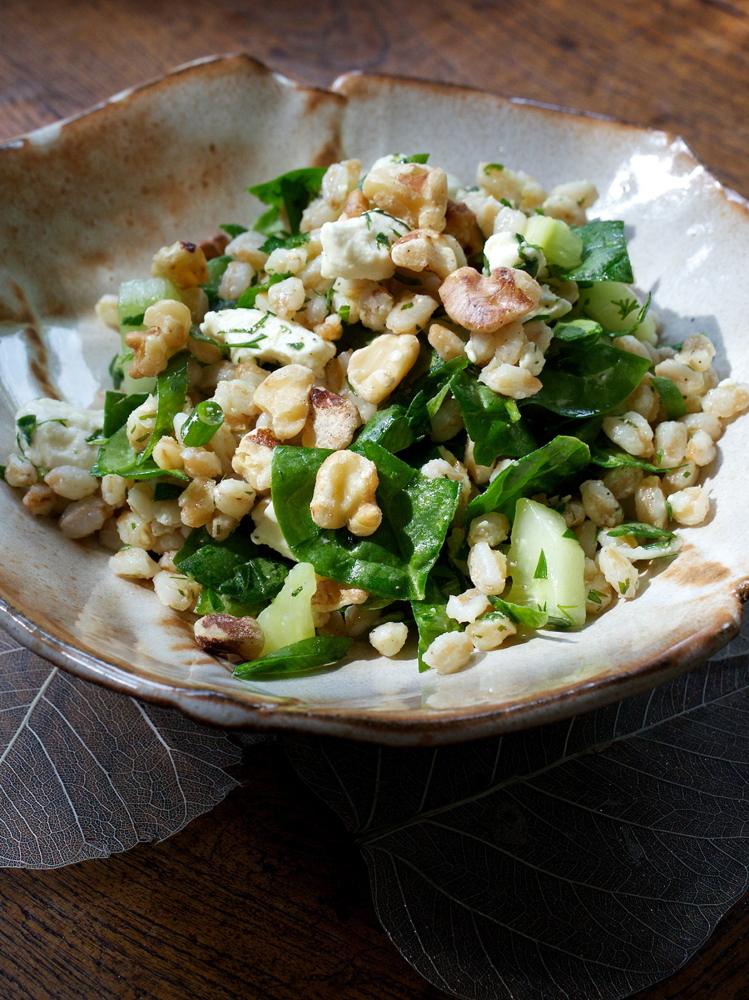 Farro, the grain that fed the Romans, has regained its legions of admirers.