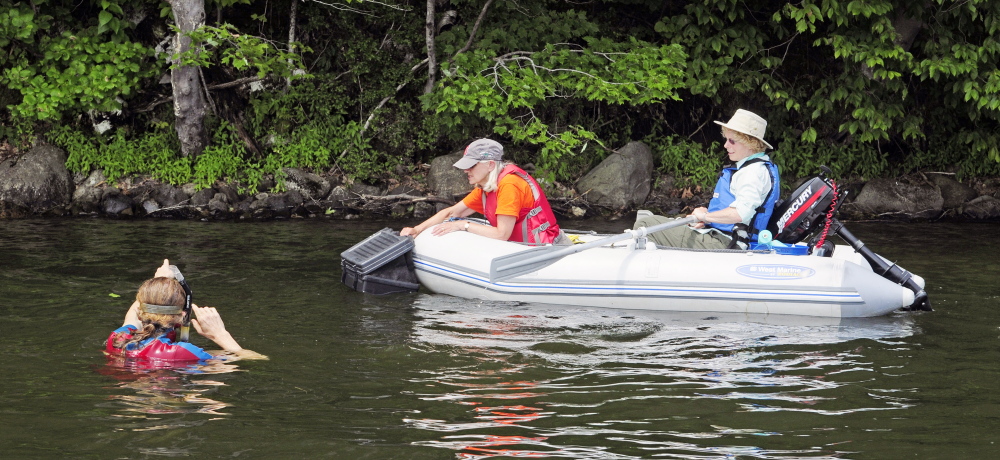 Kent Ackley, in water at left, Carol Fuller and Lea Stablinski confer about where to look next during a search for milfoil in July 31 on Annabessacook Lake in Winthrop. Tests have shown the presence of milfoil, and crews returned to the lake Wednesday to address it.