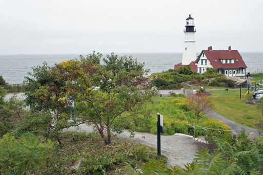 The Lighthouse View Garden at Fort Williams  after volunteers removed invasive plants.