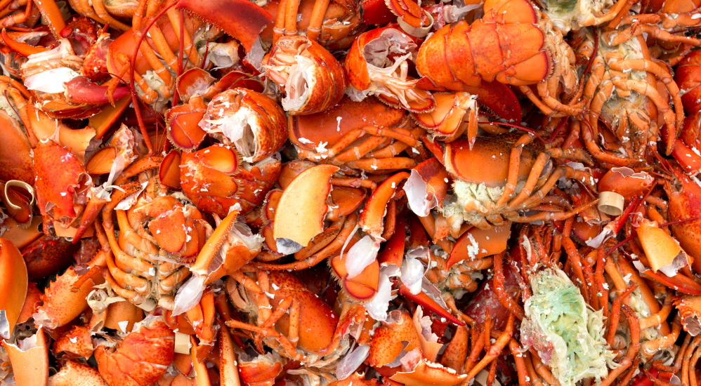 The Lobster Institute’s Cathy Billings hopes if more demand is created for the parts of the lobster that are now discarded, fishermen may benefit.