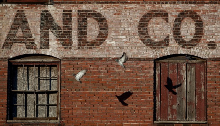 Pigeons fly past the Portland Co. complex on Fore Street on Friday. Some want the site to be declared a historic district.