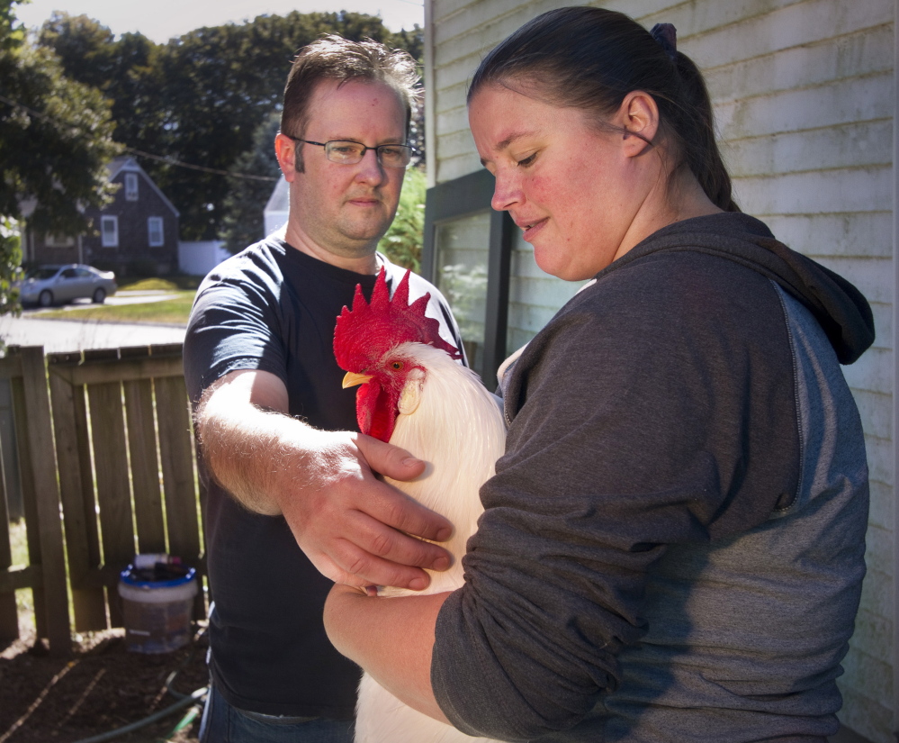 Patrick and Crystal Kennedy talk in their yard about the dispute with neighbors and the town of Cape Elizabeth over early morning crowing by their pet rooster, Elvis.