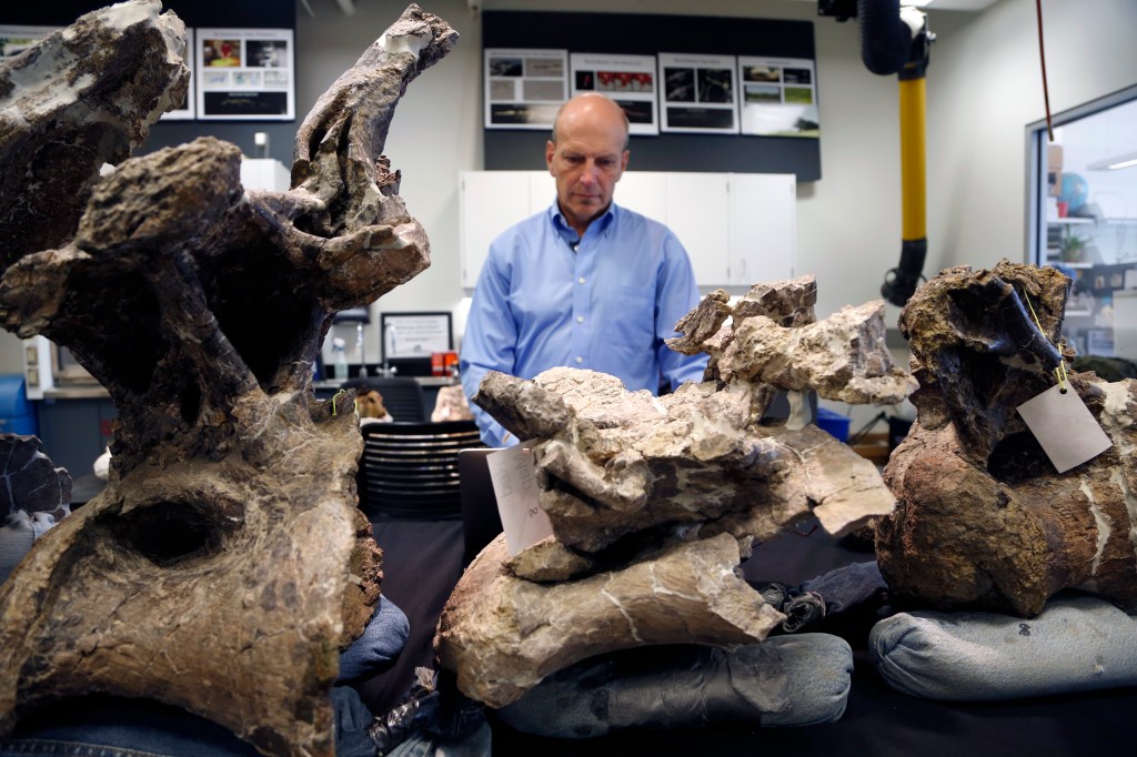 Paleontologist Kenneth Lacovara works in a lab with vertebrae from a Dreadnaughtus schrani at Drexel University in Philadelphia recently. The Associated Press