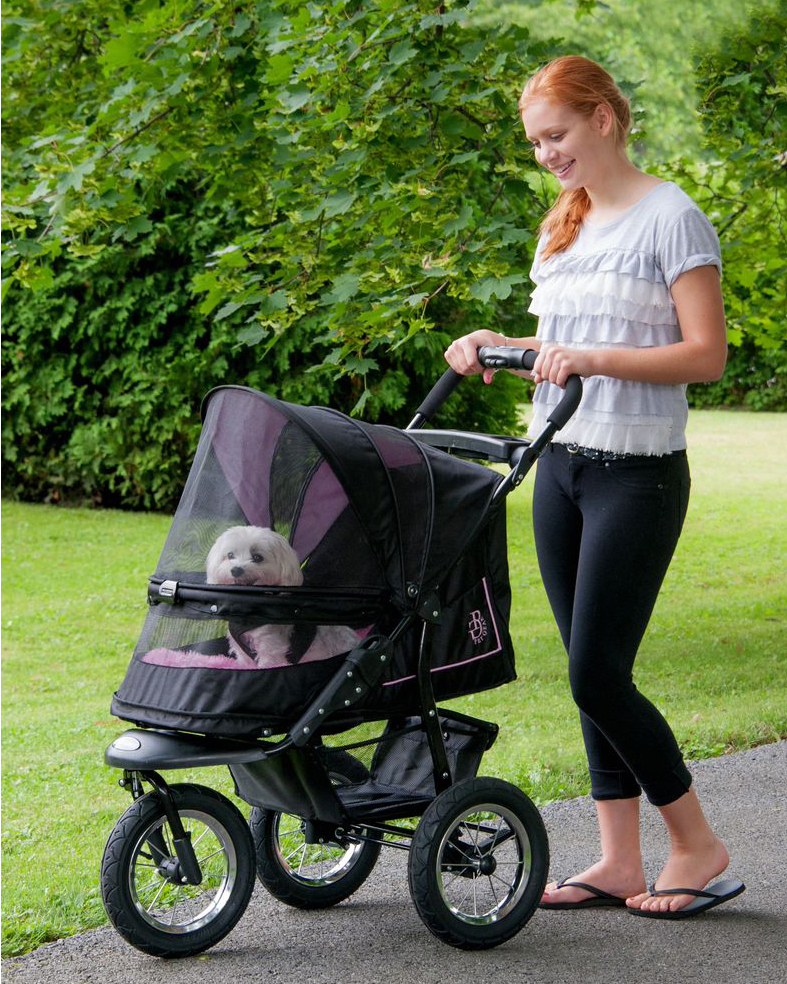 A pet stroller may be the best way to take your elderly pet out for some fresh air.  One with large tires makes it easy to go for a run or hike; a protective screen keeps insects and dirt out of the interior, and keeps your pet safely in the stroller. The Associated Press / Wayfair.com