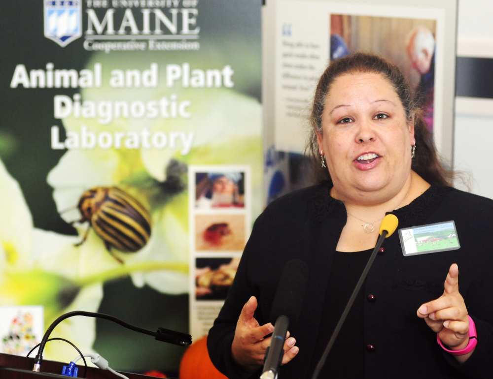 Julie-Marie Bickford, executive director of the Maine Dairy Industry Association, speaks at a news conference held Tuesday in Augusta in support of Question 2 on the November ballot.