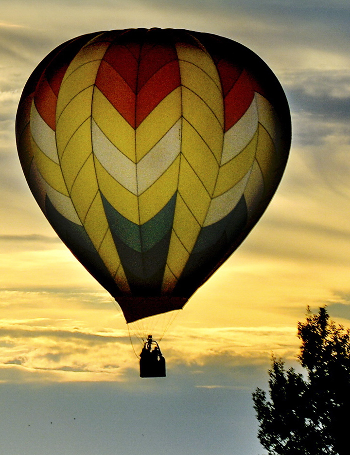 More than 550 pilots are participating in this year’s Albuquerque balloon fiesta.
