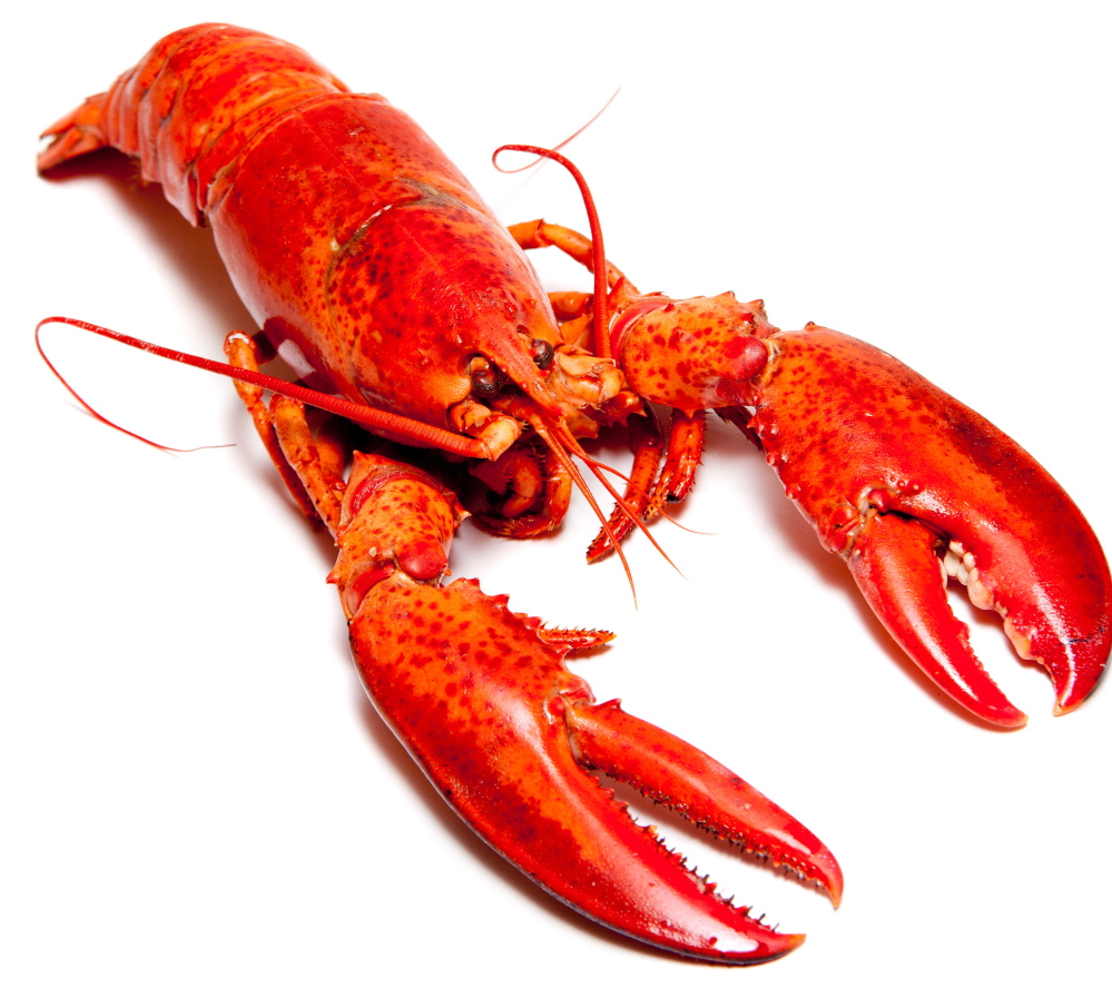 "Red is very much a symbol of status in China," says the spokeswoman for the Maine Lobster Marketing Collaborative, so lobster is  "likely to be a center-of-the-plate option."