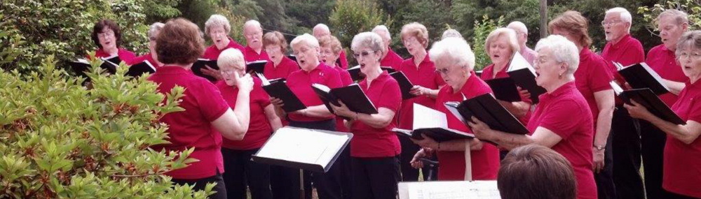Members of the First Joy Senior Choir of the  First Baptist Church of Tallahassee, Fla., perform in the yard of a homebound church member. “We couldn’t fit in the house, so we sang in the yard,” said choir director Penny Folsom.