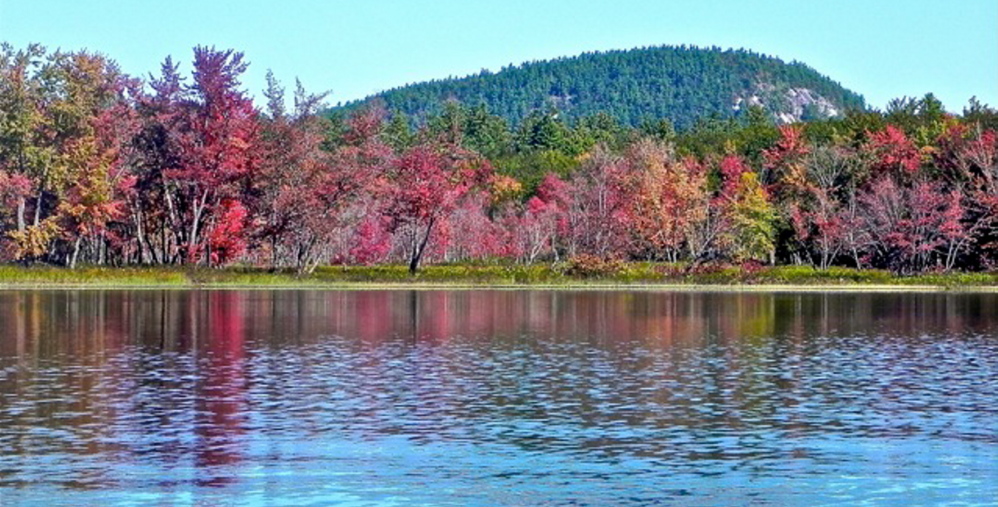 A view of Mount Tom crowns the vivid autumnal colors blazing along the shoreline of Lovewell Pond in Fryeburg.