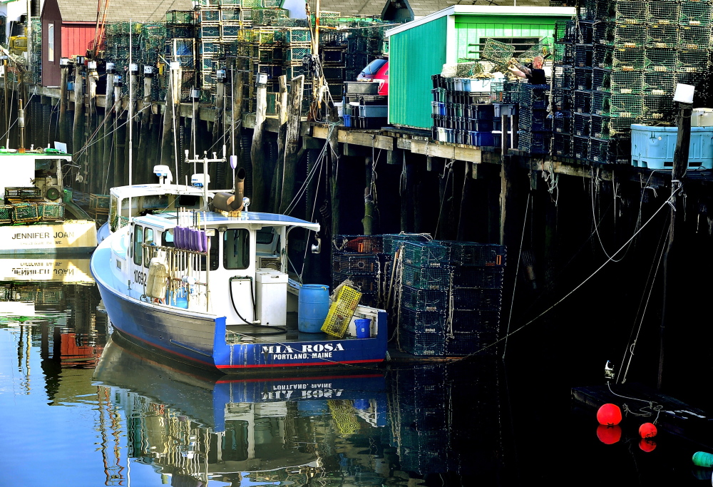 A lobsterman prepares his traps on Widgery Wharf in Portland. The presence of a healthy fishery is among the attractions Portland offers to investors who are starting a marine business incubator on the waterfront.
