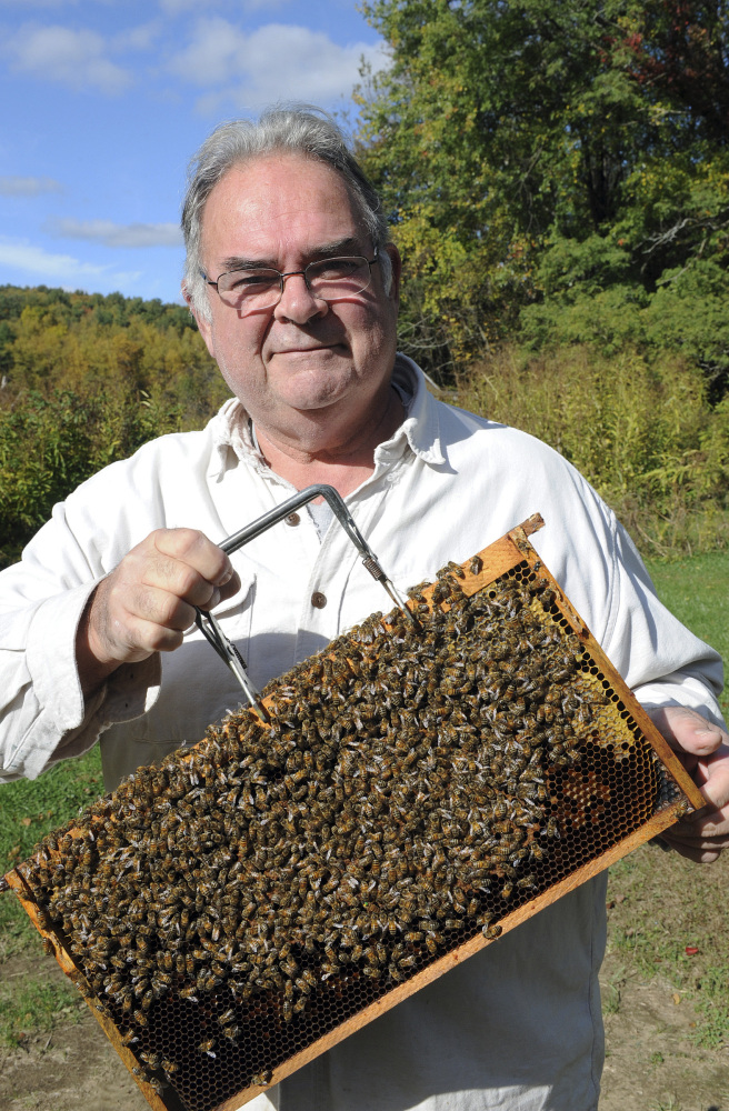 Dan Conlon, owner of Warm Colors Apiary in South Deerfield, Mass., introduced honeybees from Russia into his hives 14 years ago. Now 800 of his hives hold Russian bees.