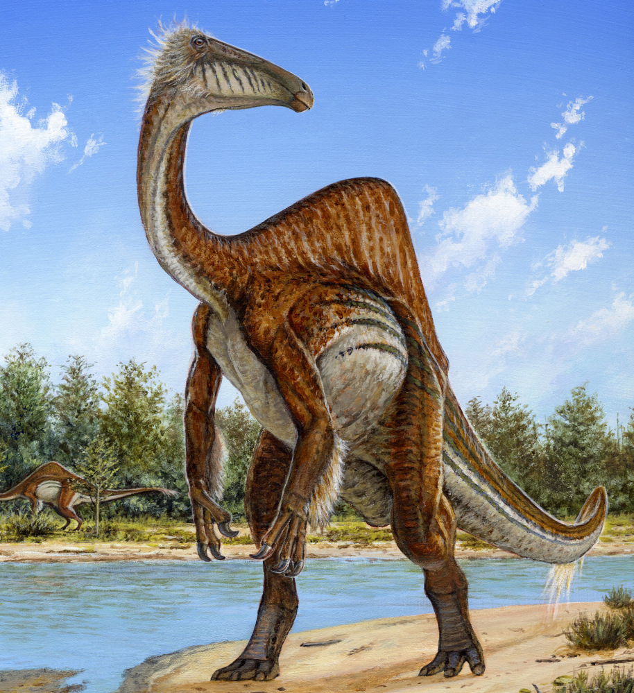 Upon further review, Deinocheirus mirificus – shown here in a handout image provided by Michael Skrepnick, Dinosaurs in Art, Nature Publishing Group – was not a fearsome monster as initially perceived. Although it had large, powerful arms, it also bore feathers, had no teeth and ate like a giant vacuum cleaner – causing scientists to now describe it as goofy and weird. 