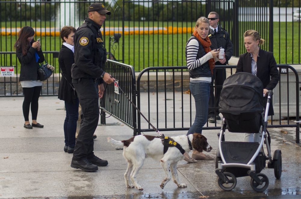 A Secret Service K9 patrol team works the sidewalk in front of the White House on Thursday, a day after an intruder was captured with the help of two Secret Service dogs.
