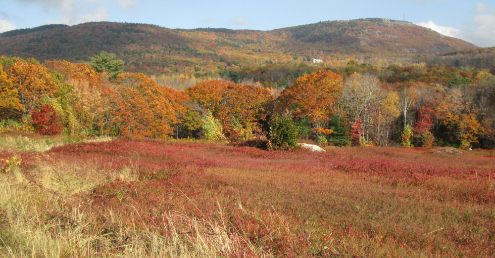 The forests are still ablaze with autumn’s colors, but not for much longer, which means little time is left for foliage lovers to appreciate Maine’s seasonal charms.