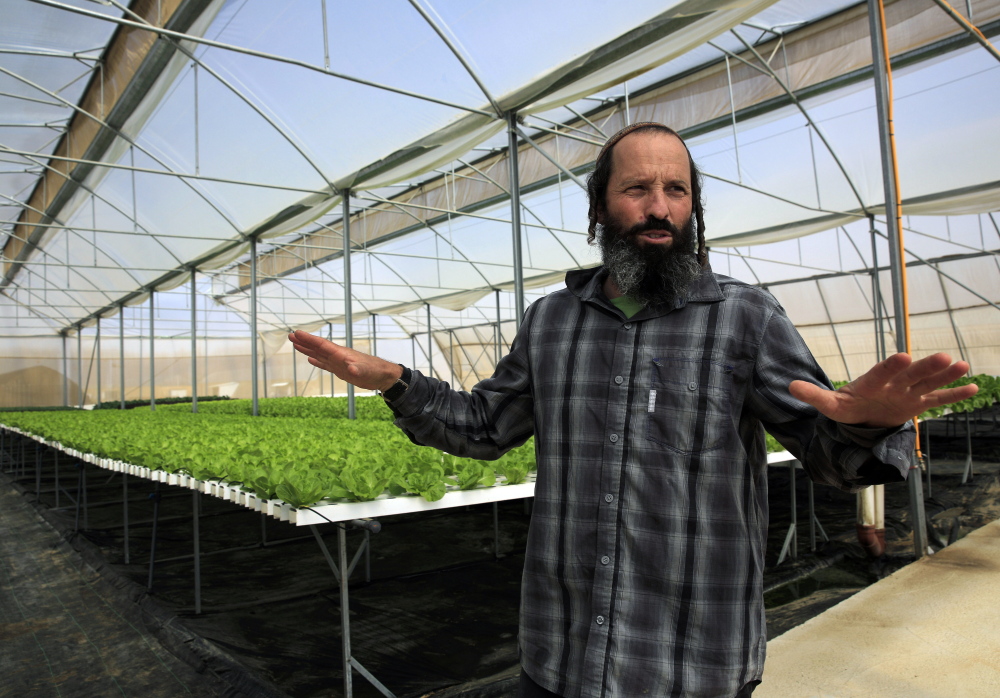 Gilad Fine, a Jewish farmer from Bnei Netzarim, Israel, grows lettuce and kale in a greenhouse using hydroponics on raised platforms so his plants are not rooted in the soil. This fulfills the biblical call to let his farmlands rest every seventh year.