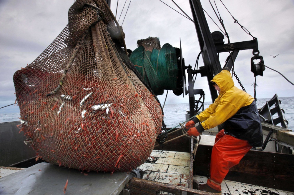 Scientists say the Gulf of Maine shouldn’t be fished for northern shrimp for a second straight season because of concerns of warming ocean temperatures. 