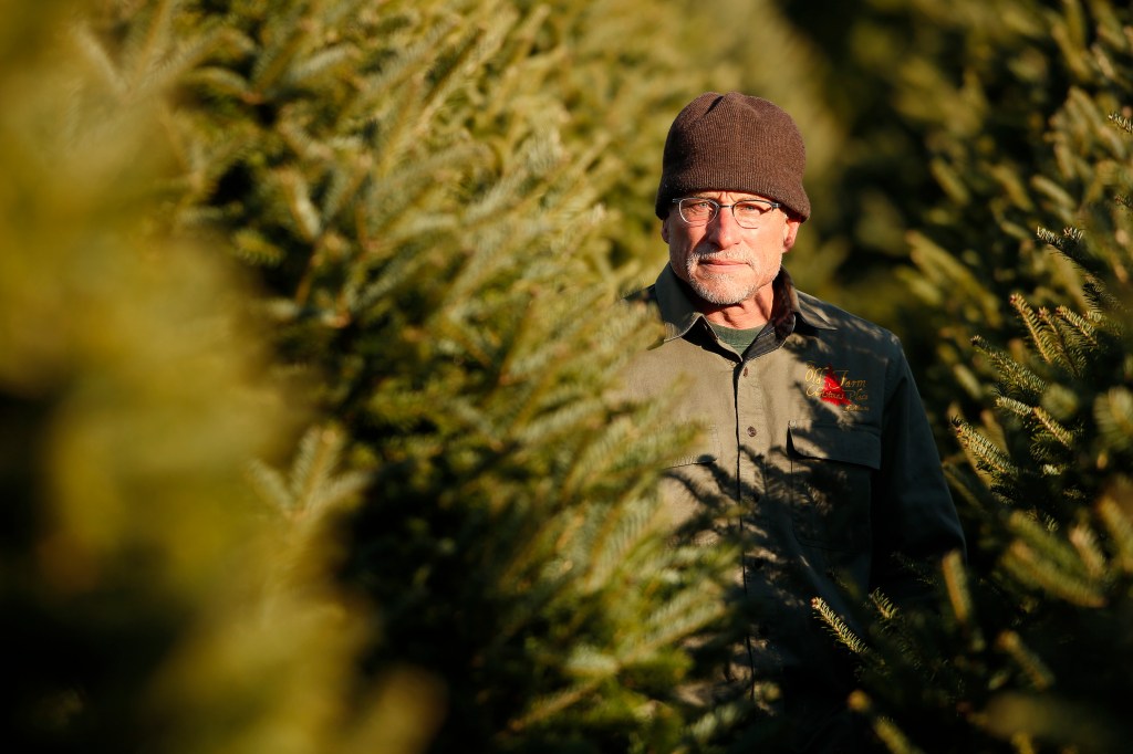 :Christmas tree farmer Jay Cox of Cape Elizabeth is among the policy holders facing a 13.4 percent hike in his Anthem insurance premiums. Since 2009, the average annual increase had been 4 percent until now, he said. Carl D. Walsh/Staff Photographer