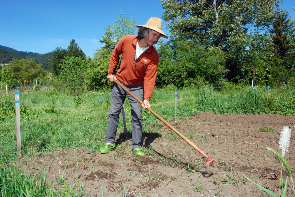 Chuck Burr cultivates a row of onions on his organic seed farm outside Ashland, Ore. An Oregon ballot measure to require labeling of genetically engineered foods was narrowly defeated Tuesday.