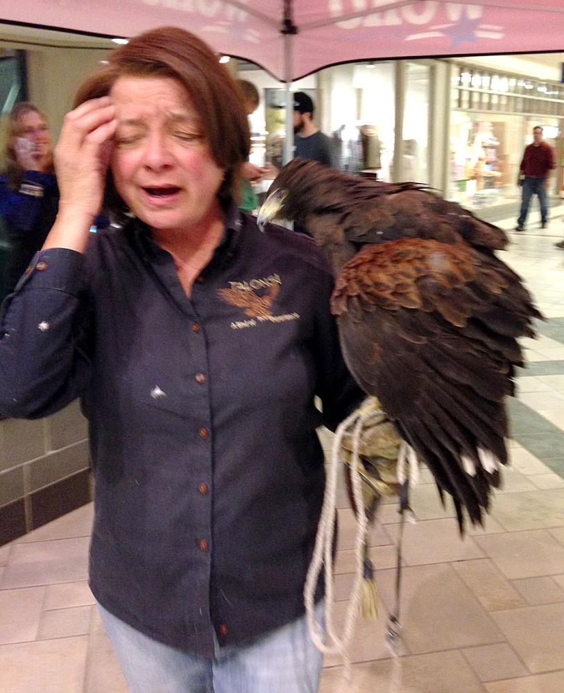 Lorrie Schumacher of Talons! A Bird of Prey Experience secures her Harris’s hawk after it was attacked by another of her birds, European eagle owl, during a demonstration at the University Mall in Burlington, Vt., Friday. The bird were on display as part of a new L.L. Bean store opening.