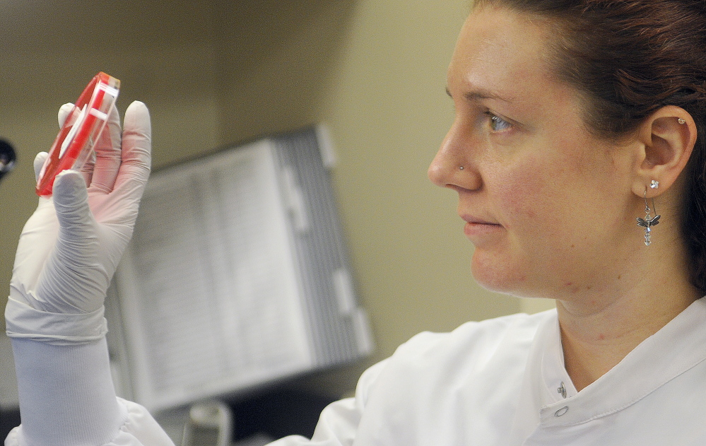 Laboratory technician Amy Gregoire inspects a bacterial culture recently in the laboratory at MaineGeneral Medical Center’s Alfond Center for Health in Augusta.