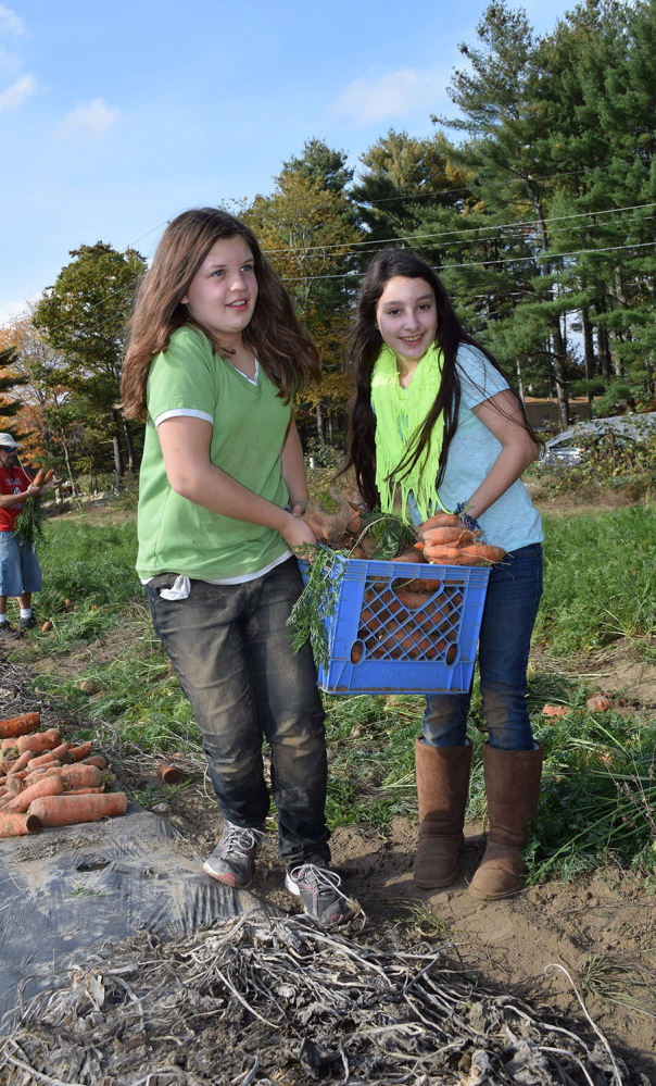 Wells-Ogunquit Community School District students McKaela Schiller, left, and Lily Heyland harvest carrots at Spiller Farm in Wells, as part of the district’s Farm to School initiative to introduce students to eating locally grown food.