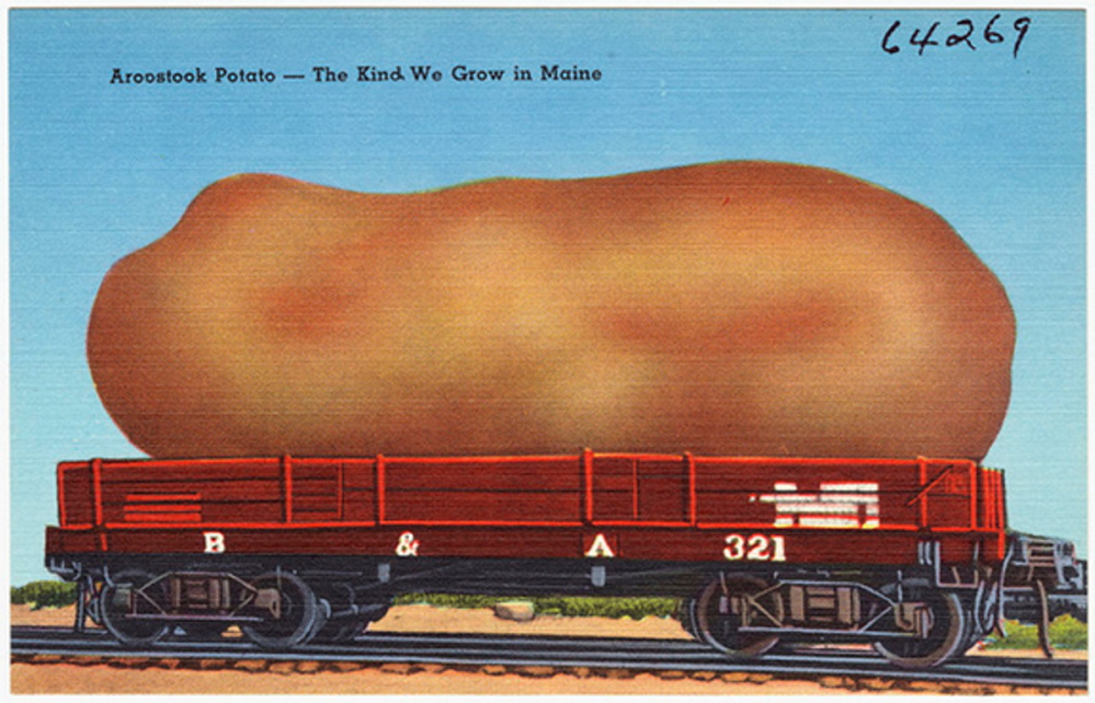 A potato postcard in print from about 1930 to 1945 points up the importance of the spud in Maine. While the state no longer dominates national potato production, it’s still the biggest vegetable crop here.