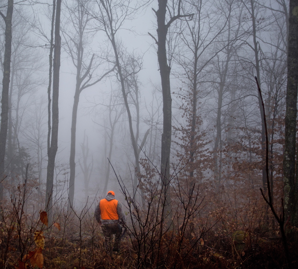 John Vogt Jr. of Oakland makes his way through dense foggy woods in New Sharon during an unsuccessful day of pursuing moose with his father, John Vogt Sr. of Belgrade.