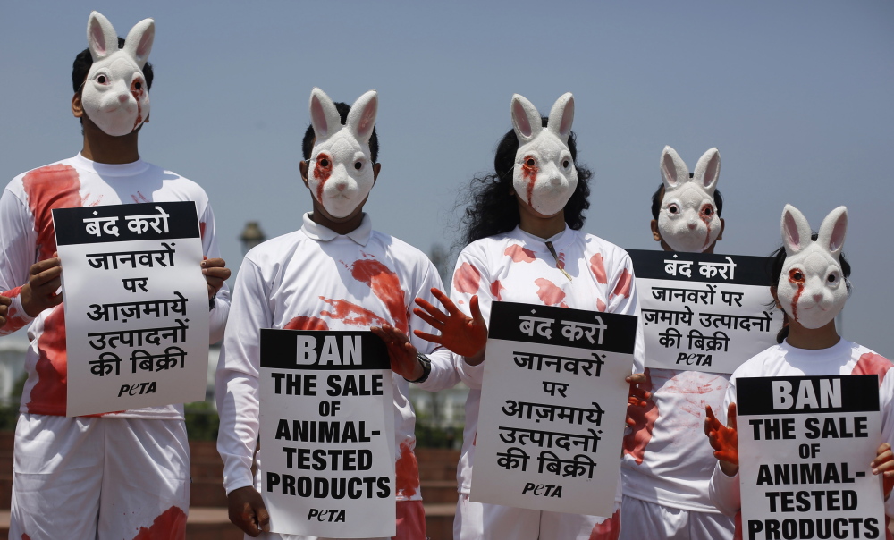 Activists from People for the Ethical Treatment of Animals dressed as rabbits hold placards during a protest in New Delhi, India, in April. Proponents of a ban on animal testing of cosmetics are trying to cast the ban in a pro-business light.