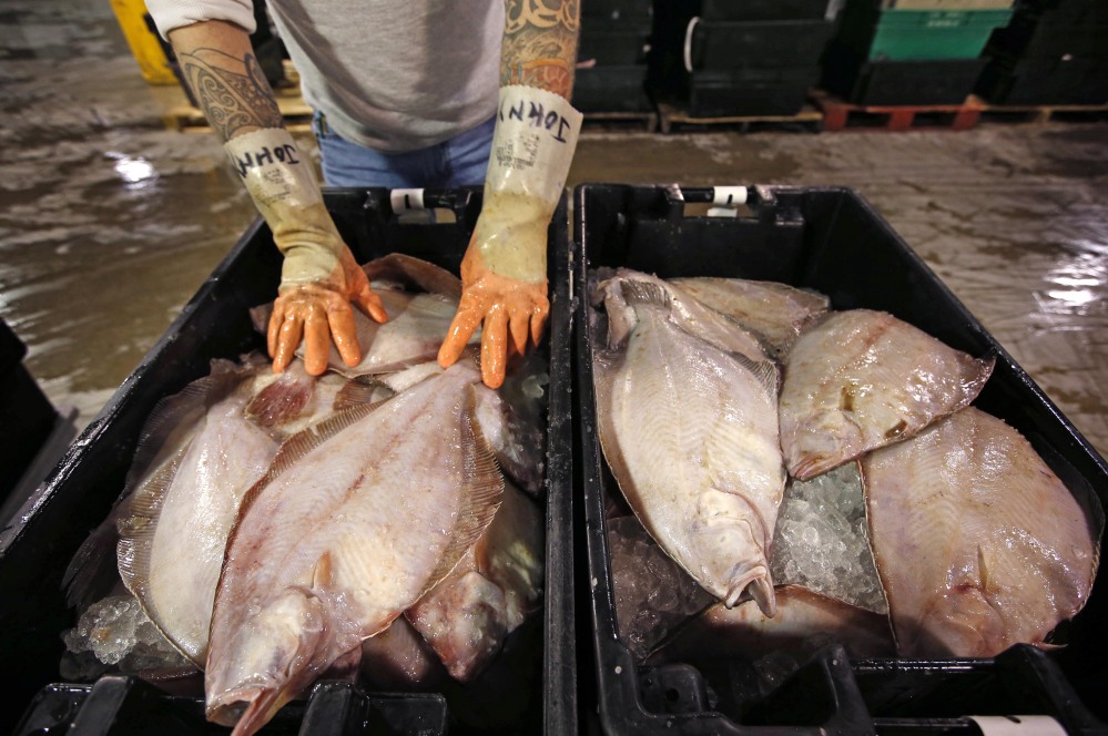 Fish buyer John Twiss examines a crate of dab, a type of flounder, prior to an auction at the Portland Fish Exchange in Portland.