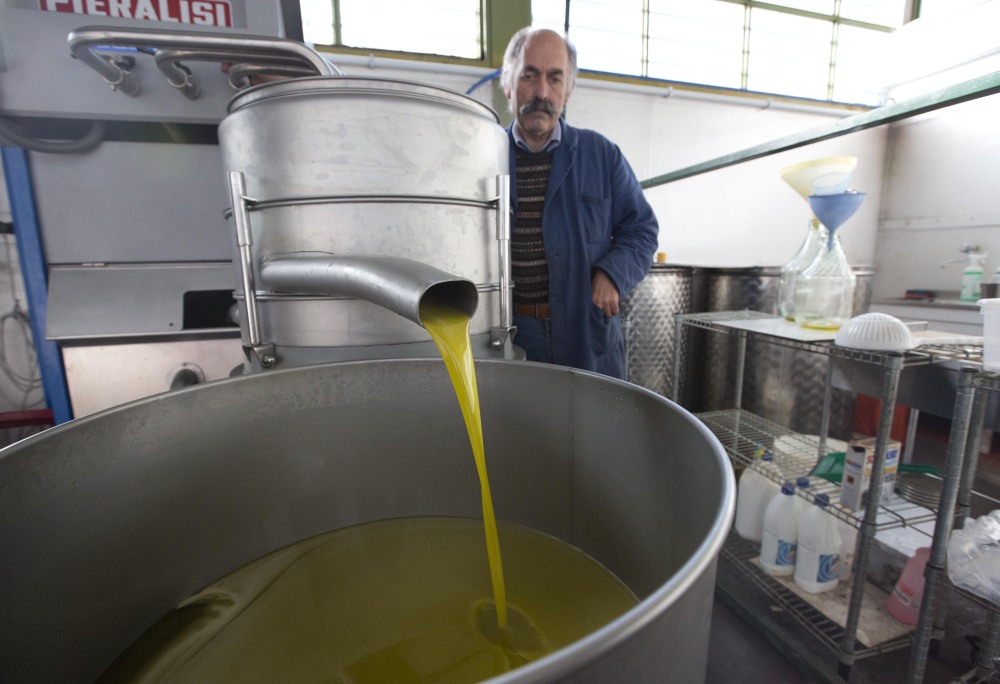 Organic olive grower Augusto Spagnoli shows a visitor how the oil mill works at his facility in Nerola, about 31 miles from Rome. Difficult conditions this year have led to “a crop to be forgotten in every aspect,” Spagnoli said.