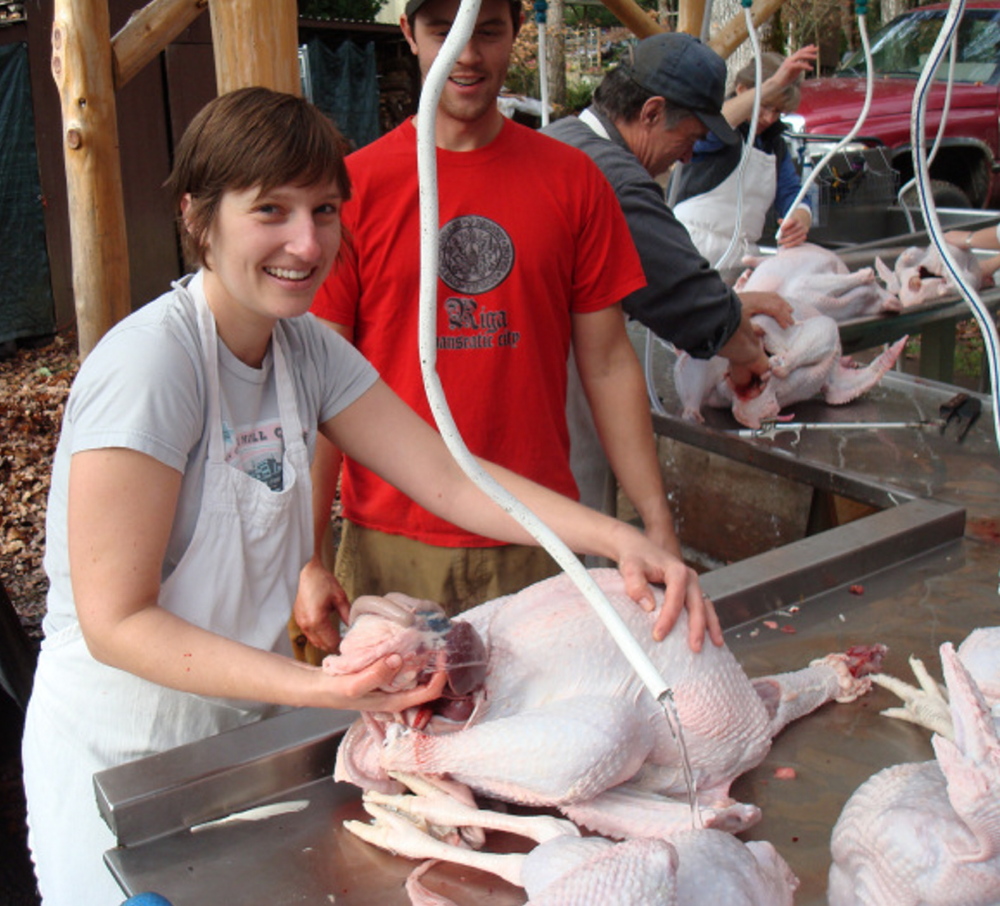 The author eviscerates a fresh farm turkey in Oregon for a previous Thanksgiving.