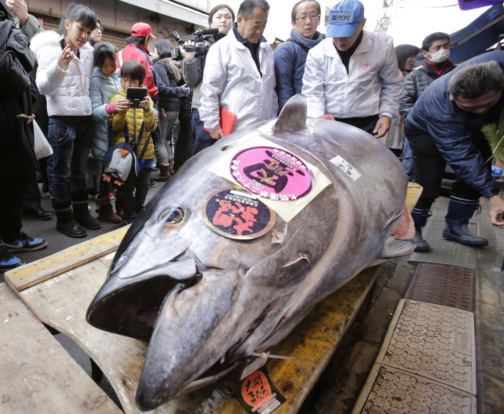 Bluefin tuna, like this one being auctioned at a fish market in Tokyo, are so popular that overfishing to meet demand has reduced the population to just 4 percent of its original size.