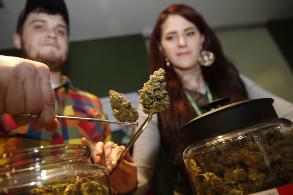 Bud tenders Maxwell Bradford, back left, and Emma Attolini display buds in the shape of Christmas trees that are on sale for the holiday season in a recreational marijuana shop in northwest Denver. The nascent marijuana industry in Colorado is targeting holiday shoppers with special deals much like traditional retailers offer.