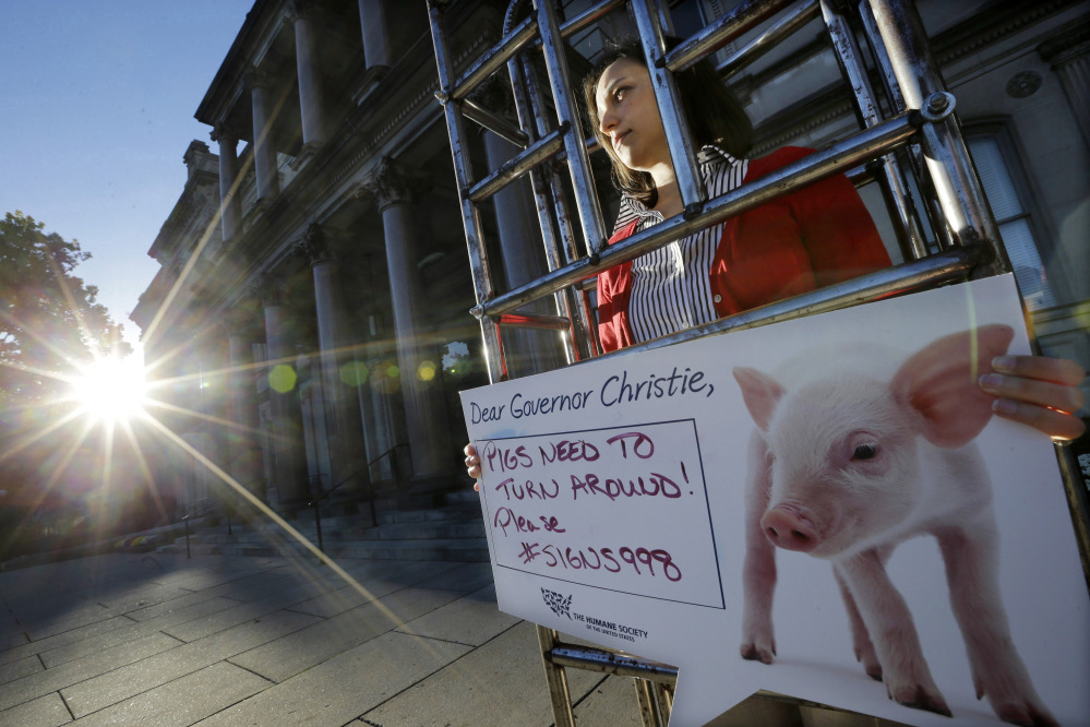 2014 Associated Press File Photo
Sarah Swingle, with the Humane Society of the United States, stands in a human-sized “gestation crate,” in front of the Statehouse in Trenton, N.J., as part of the society’s effort to have Gov. Chris Christie sign legislation to require state agriculture officials to adopt regulations concerning confinement of pregnant pigs. Christie vetoed the bill.