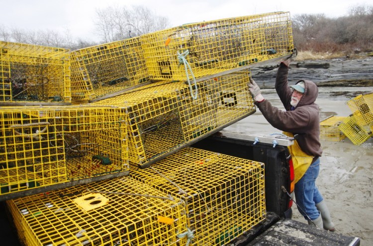 Ed Perry says it takes a few trips to bring all 45 traps to his home in Cape Elizabeth.